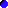 (bullet)